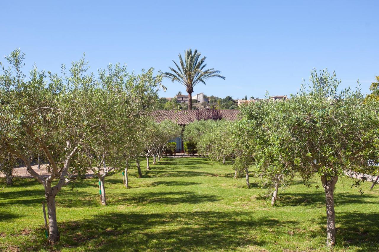 Vakantieboerderij S'hort De Son Caulelles - Adults Only Marratxí