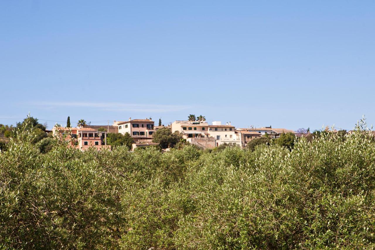 S'hort De Son Caulelles - Adults Only Vakantieboerderij Marratxí