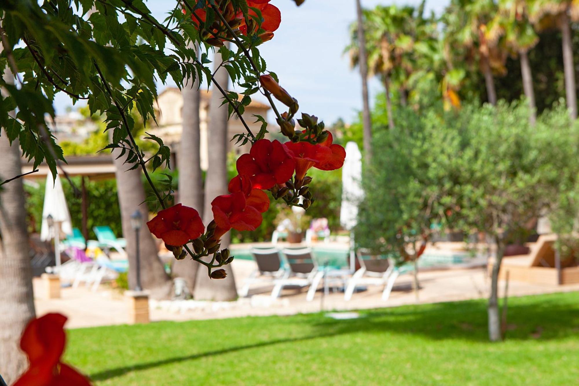 S'hort De Son Caulelles - Adults Only Vakantieboerderij *